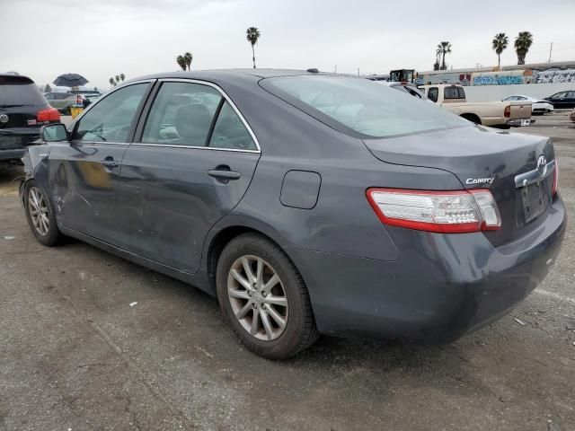 2011 Toyota Camry Hybrid