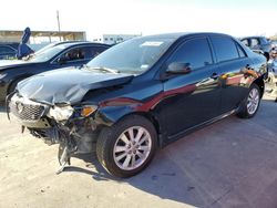 Salvage cars for sale at Grand Prairie, TX auction: 2010 Toyota Corolla Base