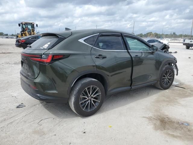 2024 Lexus NX 250 Premium