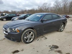 Salvage cars for sale at Ellwood City, PA auction: 2013 Dodge Charger R/T