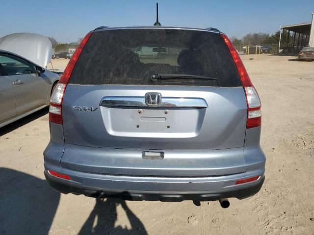 2010 Honda CR-V EXL