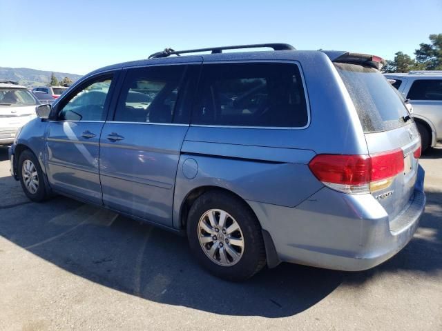 2008 Honda Odyssey EXL