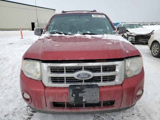 2012 Ford Escape XLT