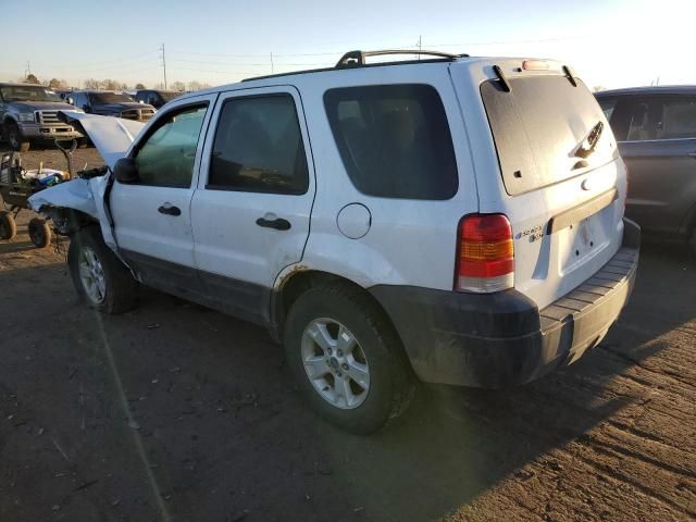 2005 Ford Escape XLT