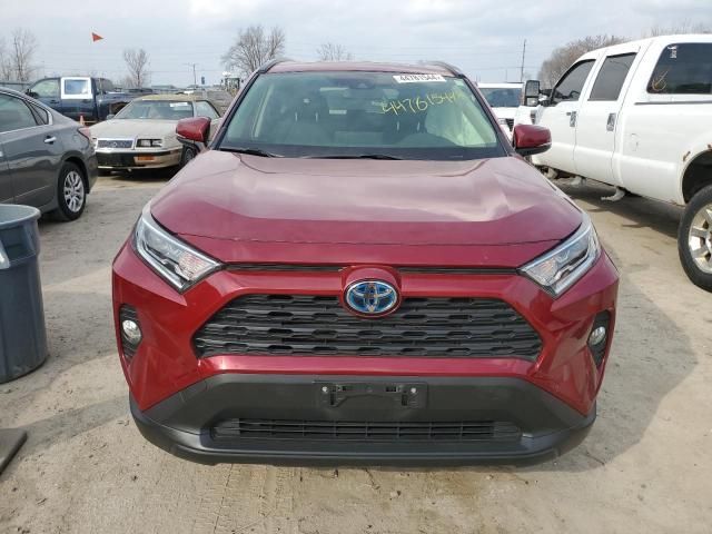 2019 Toyota Rav4 XLE