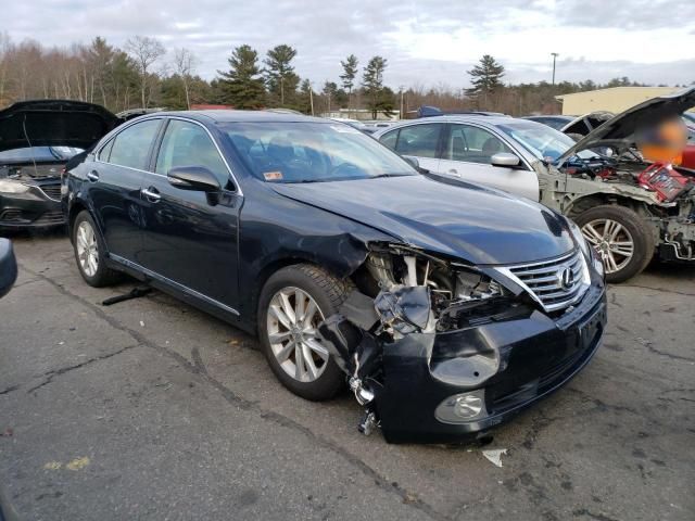 2011 Lexus ES 350