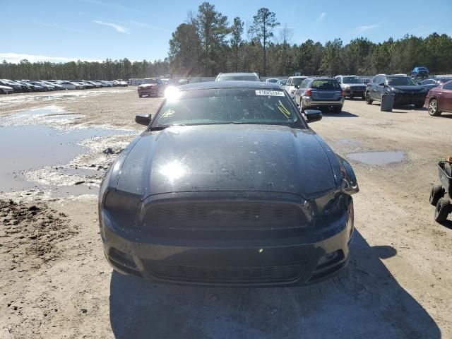 2013 Ford Mustang