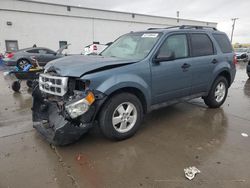 Salvage cars for sale from Copart Farr West, UT: 2012 Ford Escape XLT