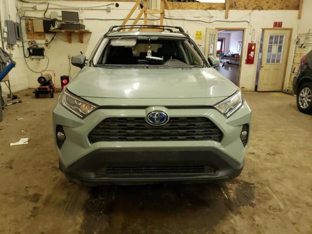 2019 Toyota Rav4 XLE