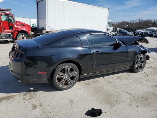 2013 Ford Mustang