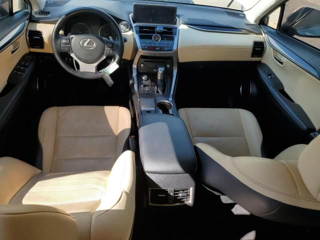 2020 Lexus NX 300 Luxury