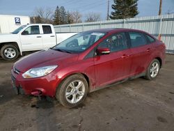 Ford Focus SE Vehiculos salvage en venta: 2013 Ford Focus SE