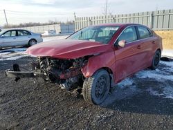 Salvage cars for sale from Copart Ontario Auction, ON: 2023 KIA Forte EX