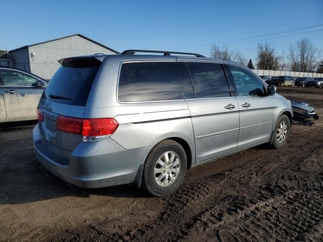 2010 Honda Odyssey EXL