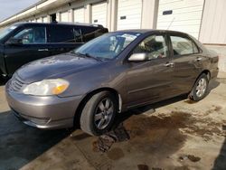 Salvage cars for sale at Lawrenceburg, KY auction: 2003 Toyota Corolla CE