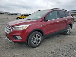 Salvage cars for sale at Earlington, KY auction: 2018 Ford Escape SE