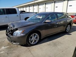 Salvage cars for sale from Copart Louisville, KY: 2012 Nissan Maxima S