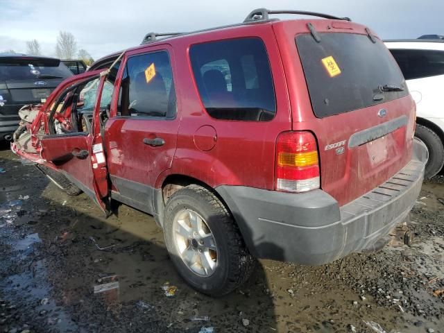 2005 Ford Escape XLT