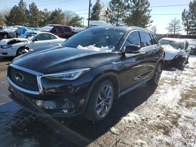 2021 Infiniti QX50 Sensory