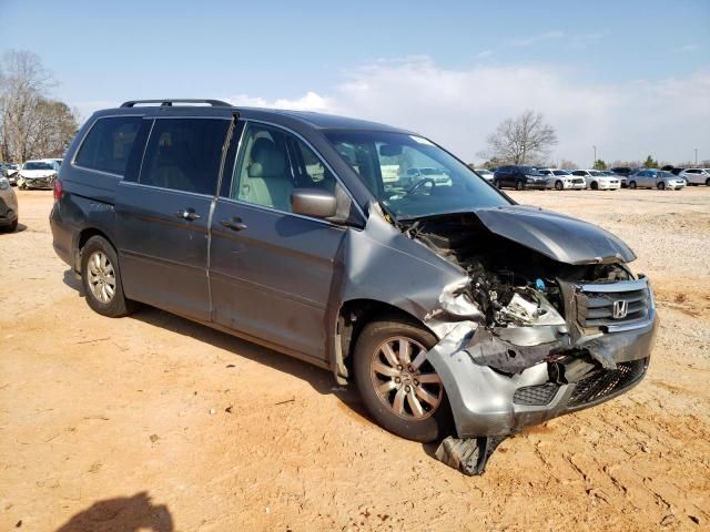 2008 Honda Odyssey EXL