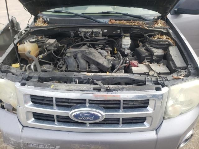 2008 Ford Escape XLT