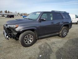 Salvage cars for sale at Antelope, CA auction: 2023 Toyota 4runner SE