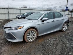 Salvage cars for sale from Copart Hillsborough, NJ: 2023 Toyota Camry LE