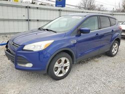 Salvage cars for sale from Copart Walton, KY: 2013 Ford Escape SE