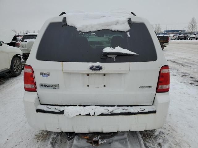 2008 Ford Escape XLT