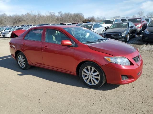 2009 Toyota Corolla Base