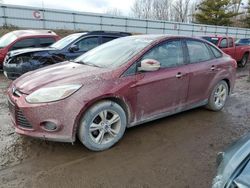 Salvage cars for sale from Copart Davison, MI: 2013 Ford Focus SE