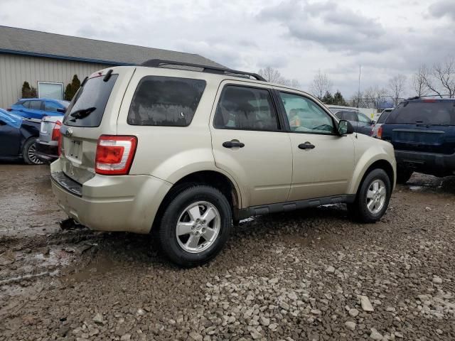 2011 Ford Escape XLT