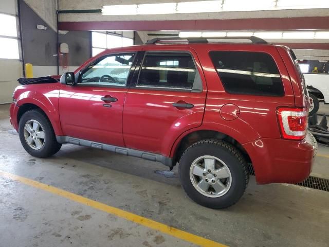 2010 Ford Escape XLT