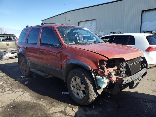 2006 Ford Escape XLT