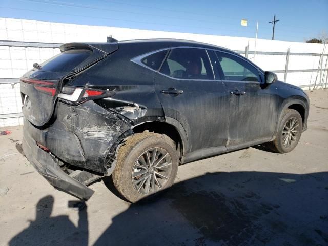 2024 Lexus NX 350H Base