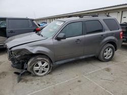 Ford Vehiculos salvage en venta: 2012 Ford Escape XLT