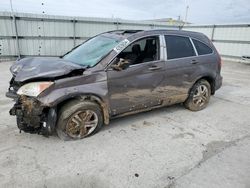 Salvage cars for sale at Walton, KY auction: 2010 Honda CR-V EXL