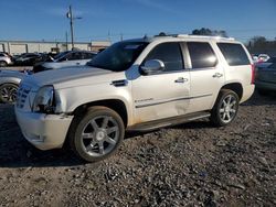 Cadillac Escalade salvage cars for sale: 2007 Cadillac Escalade Luxury