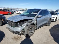 Salvage cars for sale from Copart Tucson, AZ: 2020 Ford Escape SEL