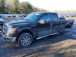 Salvage cars for sale from Copart Lyman, ME: 2013 Ford F150 Super Cab