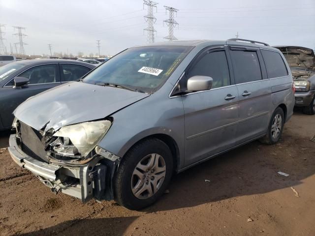 2005 Honda Odyssey EXL