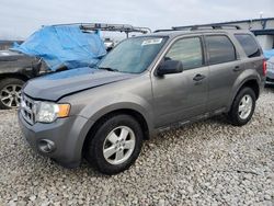 Salvage cars for sale at Wayland, MI auction: 2012 Ford Escape XLT