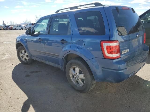 2010 Ford Escape XLT