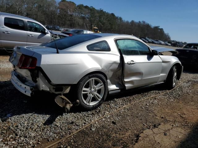 2010 Ford Mustang