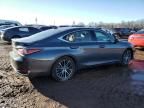 2023 Lexus ES 300H Base