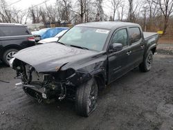 Salvage cars for sale from Copart Marlboro, NY: 2023 Toyota Tacoma Double Cab