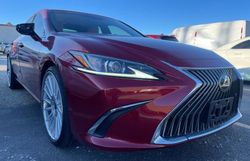 Salvage cars for sale at Chicago Heights, IL auction: 2019 Lexus ES 350