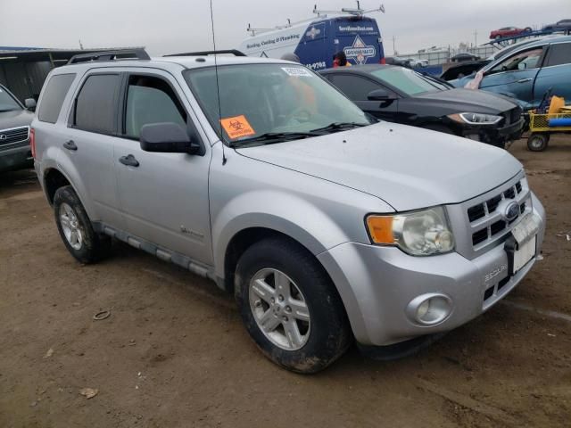 2010 Ford Escape Hybrid