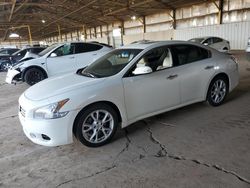 Vehiculos salvage en venta de Copart Phoenix, AZ: 2013 Nissan Maxima S