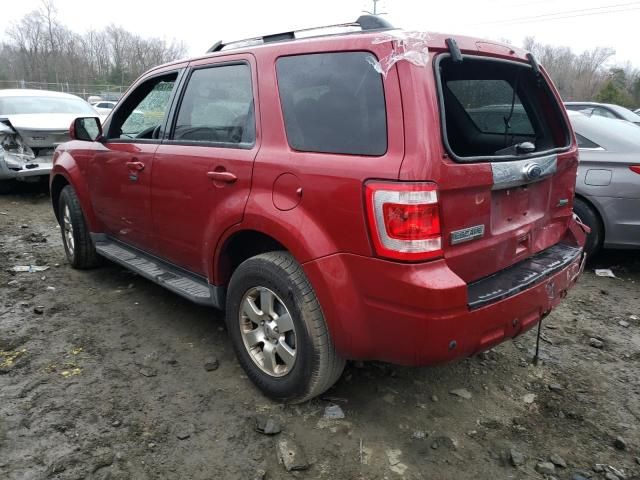 2011 Ford Escape Limited